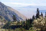 CloserToHiddenCamp