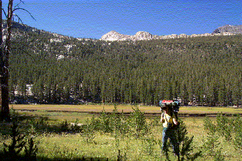 BigMeadow